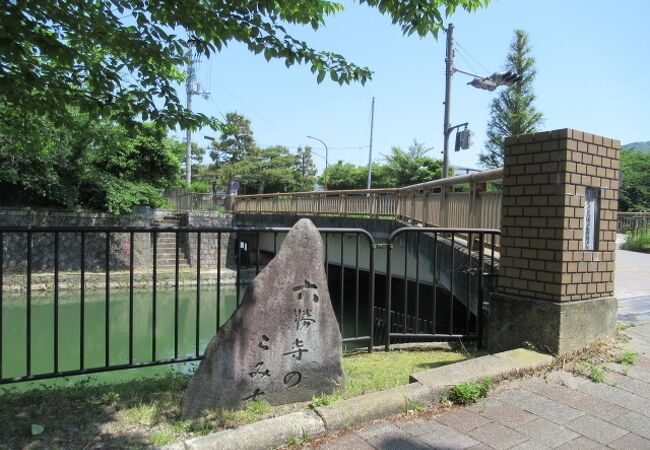 琵琶湖疏水周辺の眺めが素晴らしいわ