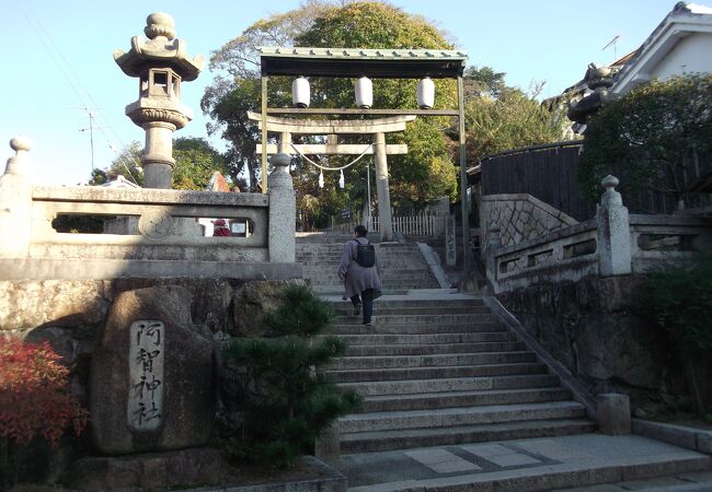 高台からの眺めも良い