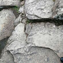 こういう岩が足元にいっぱい。カメラばかり見てるとこけます