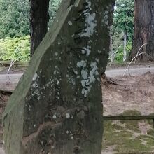 芭蕉の句「夏草や　兵どもが　夢の跡」