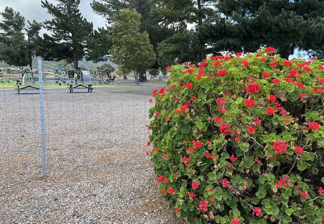 マウナ ケア州立レクリエーション エリア