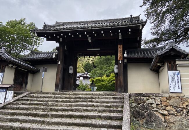 「床みどり」「床もみじ」が名高い天台宗の門跡寺院