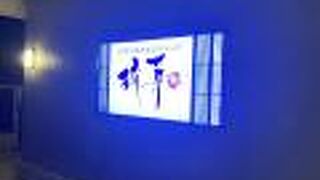 石垣牛焼肉＆ダイニング 琉華