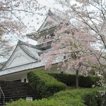 日和佐城と桜の花