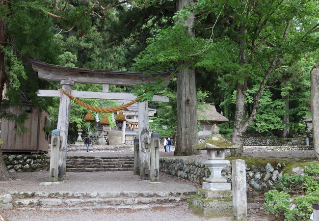 茅葺屋根の釈迦堂が風情がある