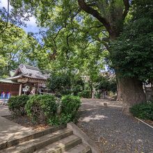 神足神社