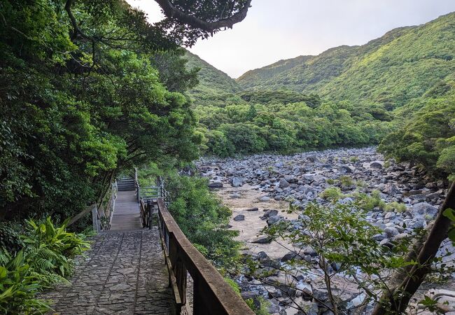 石楠花の森公園