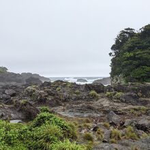 屋久町の枕状溶岩