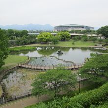 前橋公園さちの池