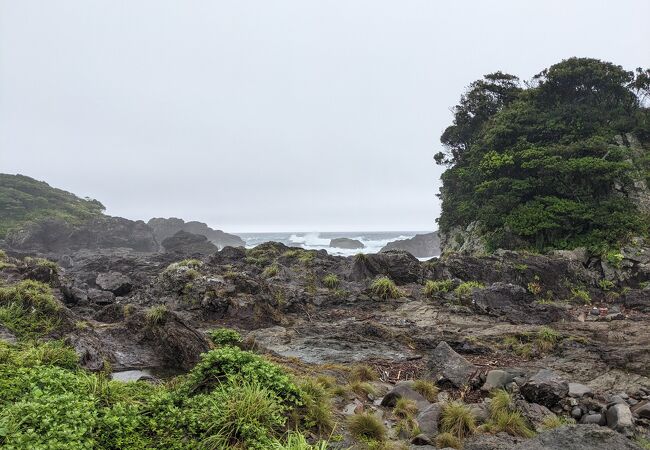 屋久町の枕状溶岩