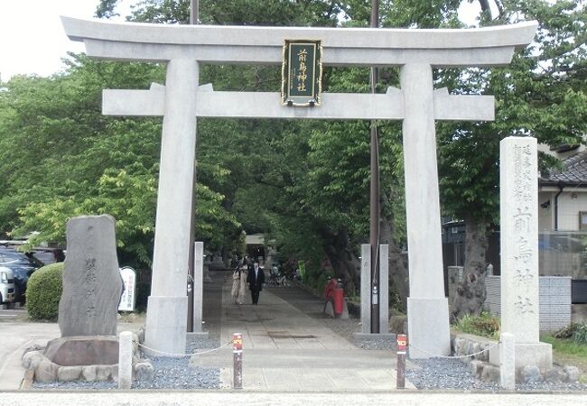 「森の前鳥神社」といわれるように、境内は木々に囲まれ、緑豊か