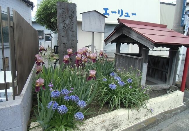 中原街道の一里塚には榎は無く、花が植えられています　