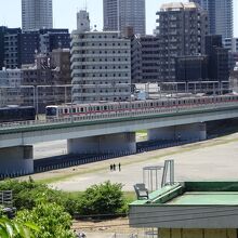 やや難しいが多摩川台公園でも良く撮れます