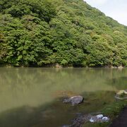 新緑の桂川も良かったです。