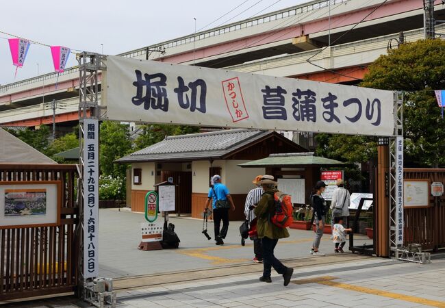 堀切菖蒲園は今が見頃