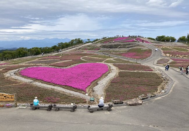 茶臼山芝桜の丘