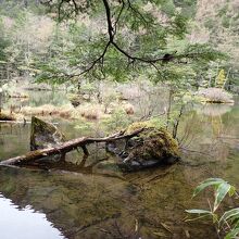 神秘的な二之池です。