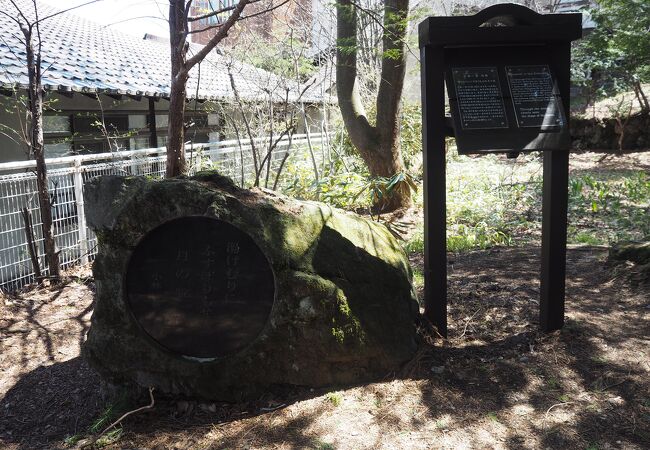 高泉寺への石段を上った先