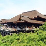 動員力バツグンの京都の名所。境内を味わう心の余裕も持ちたい