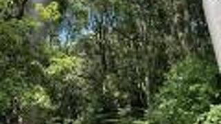 スピリチュアルな神社