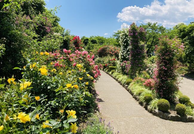 一本木公園