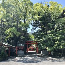 後ろに開聞岳が見える！一度で大好きな神社になりました。