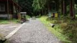 中島台獅子ヶ鼻湿原