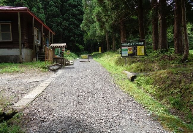 鳥海山の湧水に涵養された水生・湿生植物が群生する場所