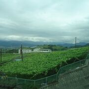 きれいな風景