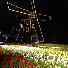 夜は風車がライトアップ。