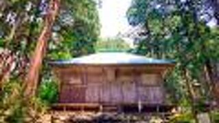 風情がある、新緑と苔のVivid Greenがとてもキレイだった平泉寺白山神社!