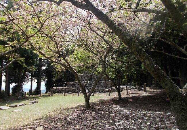 5月はじめにはまだ八重桜が咲いてました