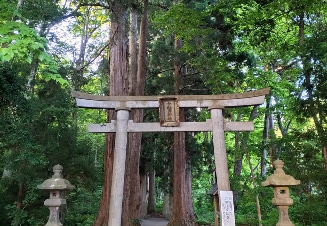 なかなか良い雰囲気の神社です。