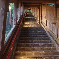 結びの階段。93段と書いてある、数えてないけど。