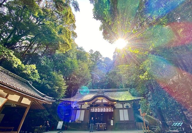 「狭井坐大神荒魂神社(狭井神社)」誰でも感じられるほど素晴らしいパワーが溢れている神社♪