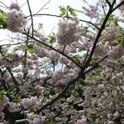 元町を見晴らせる花の公園♪