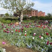 花いっぱいの自然派ガーデンと赤レンガ倉庫の風景♪