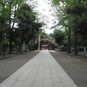 府中駅からケヤキ並木の参道を通って行けます。