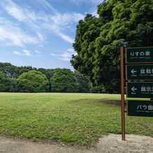 広い芝生あり・バラ園の看板も四季を通して楽しめそう＾＾