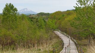 有珠山噴火のようすを物語る、自然の厳しさと美しさを体感