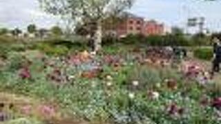 花いっぱいの自然派ガーデンと赤レンガ倉庫の風景♪