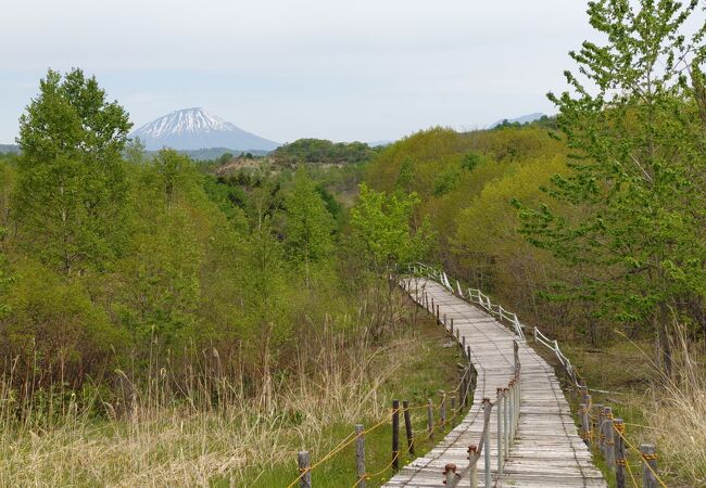 有珠山噴火のようすを物語る、自然の厳しさと美しさを体感