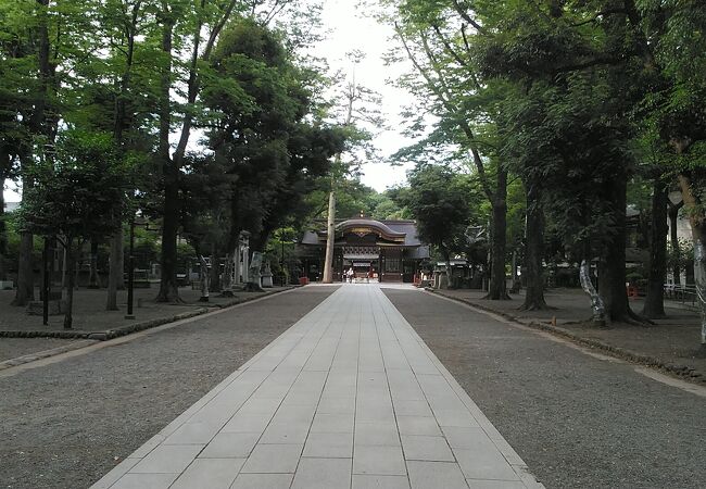 府中駅からケヤキ並木の参道を通って行けます。