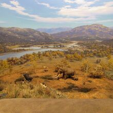 歴史展示室で撮影