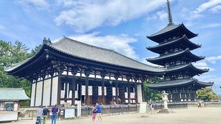 「興福寺」歴史的建築物！やっぱり奈良は凄かった！