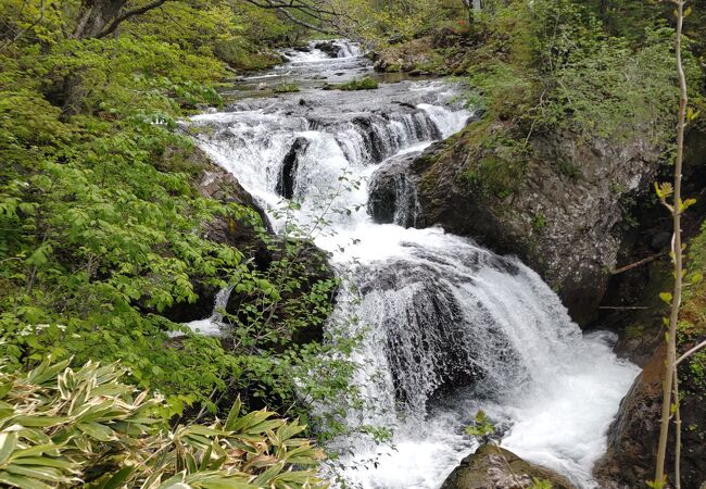 水量が豊富で轟音が響く、マイナスイオンをたっぷり吸収！　