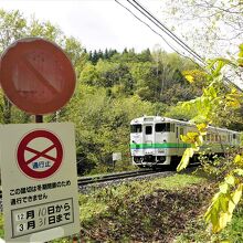 白滝遺跡に行く道路で撮影