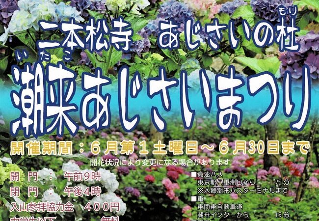 二本松寺 あじさいの杜