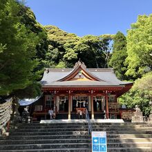 豊玉姫神社