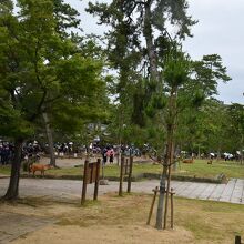広い公園内